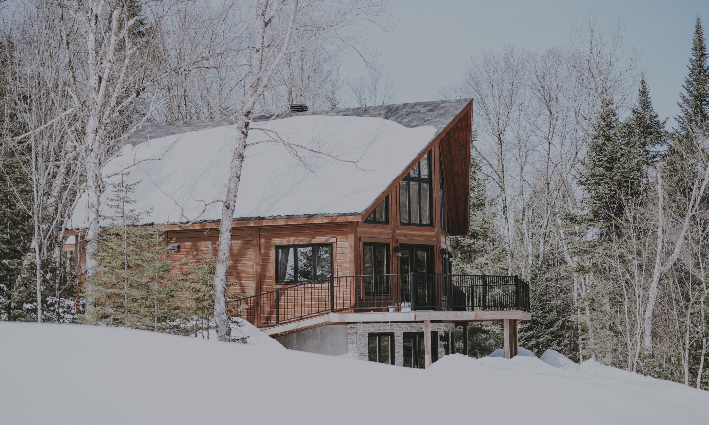 edenhomemontagne_chalet.jpg